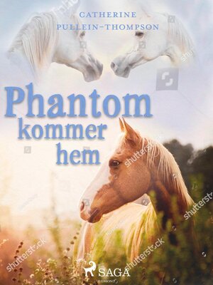 cover image of Phantom kommer hem